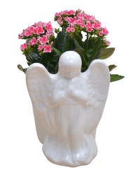 Angel Blooming from Olander Florist, fresh flower delivery in Chicago