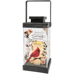 Cardinals Lantern from Olander Florist, fresh flower delivery in Chicago