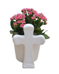 Cross Blooming from Olander Florist, fresh flower delivery in Chicago