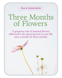 Bouquet of the Month Club (3) from Olander Florist, fresh flower delivery in Chicago
