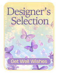 Designer's Selection Get Well Wishes from Olander Florist, fresh flower delivery in Chicago