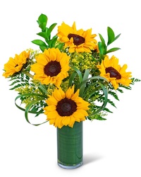 Ray Of Golden Sunflowers from Olander Florist, fresh flower delivery in Chicago