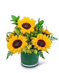 Sunshine Sunflowers from Olander Florist, fresh flower delivery in Chicago