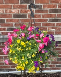 Hanging Pot from Olander Florist, fresh flower delivery in Chicago
