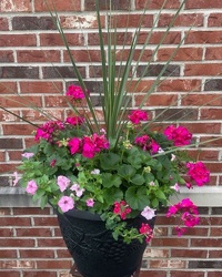 Patio Pot from Olander Florist, fresh flower delivery in Chicago
