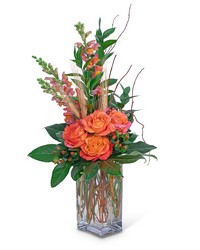Captivating Coral from Olander Florist, fresh flower delivery in Chicago