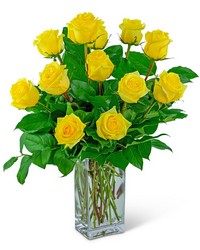 Yellow Roses (12) from Olander Florist, fresh flower delivery in Chicago