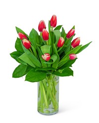 Tulips (Color May Vary) from Olander Florist, fresh flower delivery in Chicago