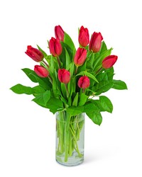 Tulips from Olander Florist, fresh flower delivery in Chicago