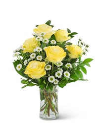 Yellow Roses with Daisies from Olander Florist, fresh flower delivery in Chicago