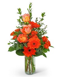 Dawn's Promise from Olander Florist, fresh flower delivery in Chicago