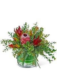 Protea Wilderness from Olander Florist, fresh flower delivery in Chicago