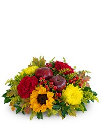 Autumn Orchard Centerpiece from Olander Florist, fresh flower delivery in Chicago