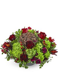 Merlot Twist from Olander Florist, fresh flower delivery in Chicago