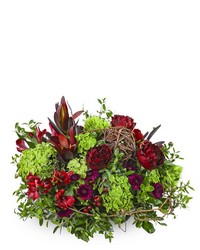 Modern Merlot from Olander Florist, fresh flower delivery in Chicago