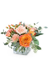 Coral Crush from Olander Florist, fresh flower delivery in Chicago