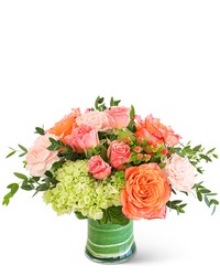 Coral Calma from Olander Florist, fresh flower delivery in Chicago