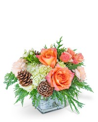 Frosted Peach Lane from Olander Florist, fresh flower delivery in Chicago