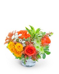 Key West from Olander Florist, fresh flower delivery in Chicago