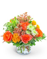 Key West Sunshine from Olander Florist, fresh flower delivery in Chicago