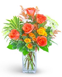 Kiss Me in Key West from Olander Florist, fresh flower delivery in Chicago