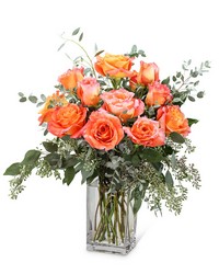 Free Spirit Roses (12) from Olander Florist, fresh flower delivery in Chicago