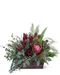 Botanic Beauty from Olander Florist, fresh flower delivery in Chicago