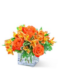 Fresh Tangerine from Olander Florist, fresh flower delivery in Chicago