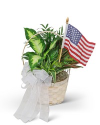 Patriotic Planter from Olander Florist, fresh flower delivery in Chicago