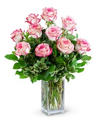 Paloma Roses (12) from Olander Florist, fresh flower delivery in Chicago