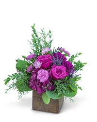 Violet Woods from Olander Florist, fresh flower delivery in Chicago