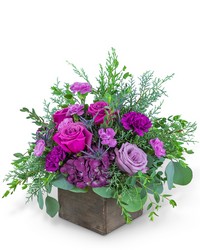 Violet's Song from Olander Florist, fresh flower delivery in Chicago