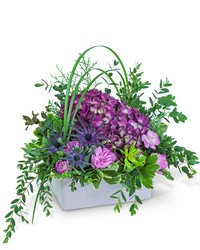 Magenta Forest from Olander Florist, fresh flower delivery in Chicago
