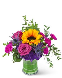 Sunny Blooms from Olander Florist, fresh flower delivery in Chicago