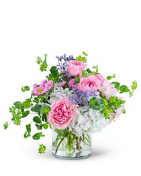 Cloud Nine from Olander Florist, fresh flower delivery in Chicago