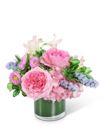 Sweet Pink Clouds from Olander Florist, fresh flower delivery in Chicago