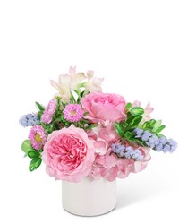 Pinky Sweet from Olander Florist, fresh flower delivery in Chicago
