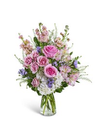 Cotton Candy Sweetie from Olander Florist, fresh flower delivery in Chicago
