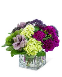 Purple Reign from Olander Florist, fresh flower delivery in Chicago