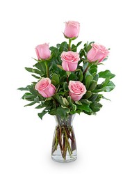 Pink Roses (6) from Olander Florist, fresh flower delivery in Chicago
