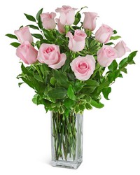One Dozen Light Pink Roses from Olander Florist, fresh flower delivery in Chicago