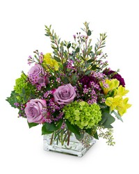 Plum Paradise from Olander Florist, fresh flower delivery in Chicago
