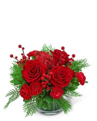 Holly Berries from Olander Florist, fresh flower delivery in Chicago