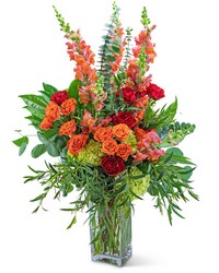 Aspen Magic from Olander Florist, fresh flower delivery in Chicago