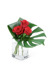 Modern Roses (3) from Olander Florist, fresh flower delivery in Chicago