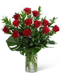 Red Roses with Modern Foliage (12) from Olander Florist, fresh flower delivery in Chicago