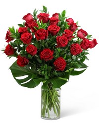 Red Roses with Modern Foliage (24) from Olander Florist, fresh flower delivery in Chicago