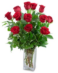 Classic Dozen Red Roses from Olander Florist, fresh flower delivery in Chicago