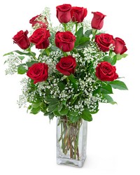 Dozen Roses in a Cloud from Olander Florist, fresh flower delivery in Chicago