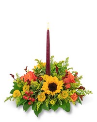 Autumnal Equinox Centerpiece from Olander Florist, fresh flower delivery in Chicago